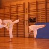 egzamin Taekwondo 037